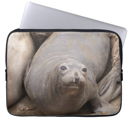 Elephant Seal Laptop Sleeve