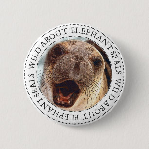 Elephant Seal Ronde Button 5,7 Cm