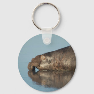 Elephant Seal Sleutelhanger