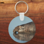 Elephant Seal Sleutelhanger (Voorkant)