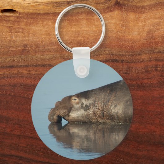 Elephant Seal Sleutelhanger (Voorkant)