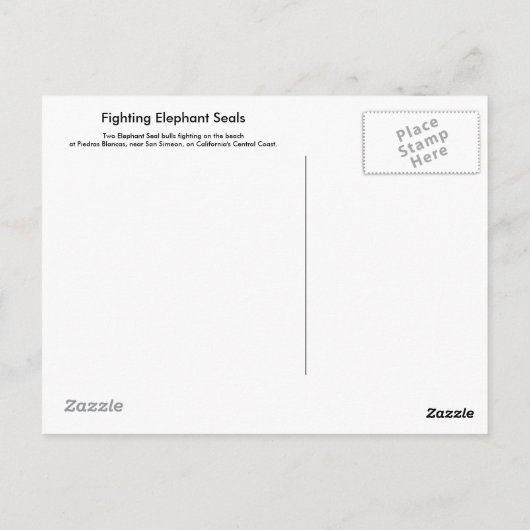 Elephant Seals Fighting Briefkaart (Achterkant)