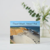 Elephant Seals, San Miguel Island, Kanaaleilanden Briefkaart (Staand voorkant)