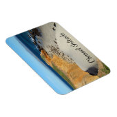 Elephant Seals, San Miguel Island, Kanaaleilanden Magneet (Rechterzijde)