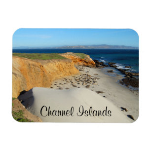 Elephant Seals, San Miguel Island, Kanaaleilanden Magneet