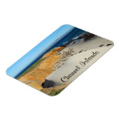 Elephant Seals, San Miguel Island, Kanaaleilanden Magneet (Linkerzijde)