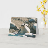 Elephant Seals Wenskaart Kaart (Gele Bloem)