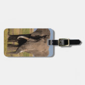 Elephant Searching Bagagelabel (Voorkant horizontaal)