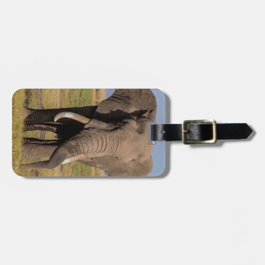 Elephant Searching Bagagelabel (Voorkant horizontaal)