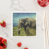 Elephant Servet (Insitu)