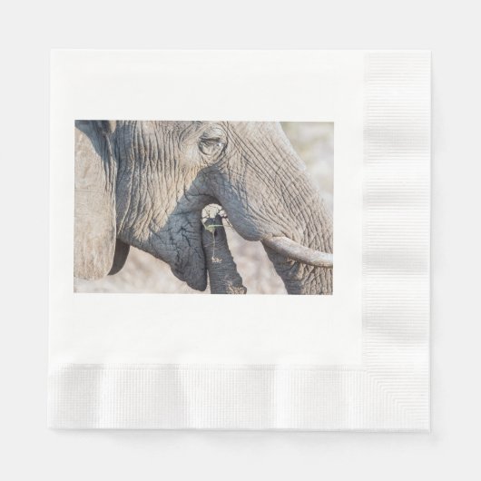 Elephant Servet (Voorkant)