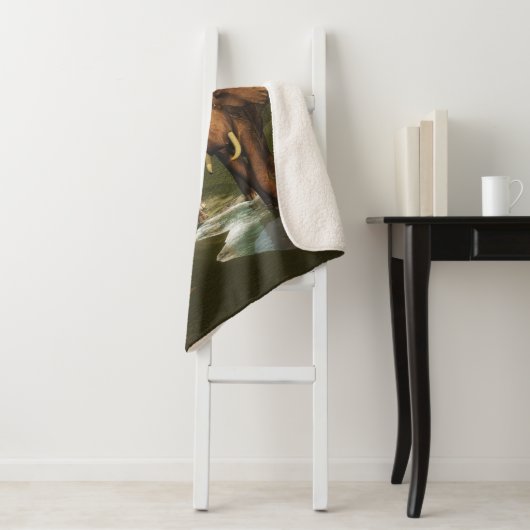 Elephant Sherpa Deken (In situ)