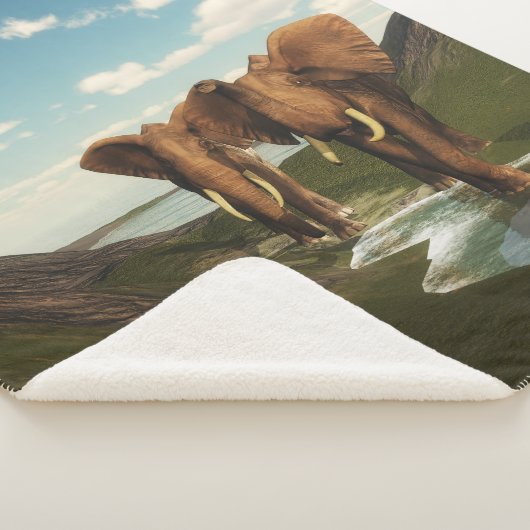 Elephant Sherpa Deken (3/4)