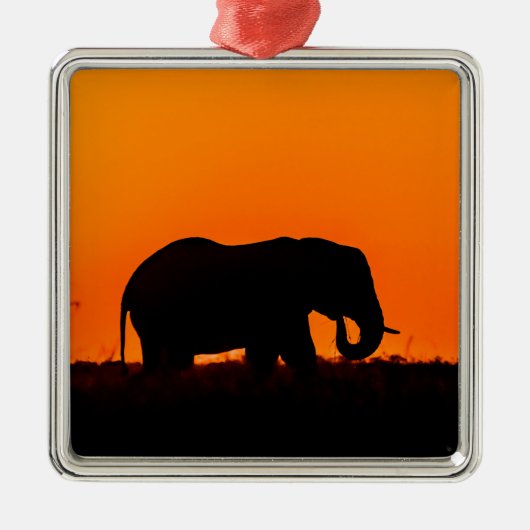 Elephant silhouette metalen ornament (Voorkant)