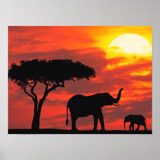 Elephant Silhouette Scene met Oranje Sky Poster (Voorkant)