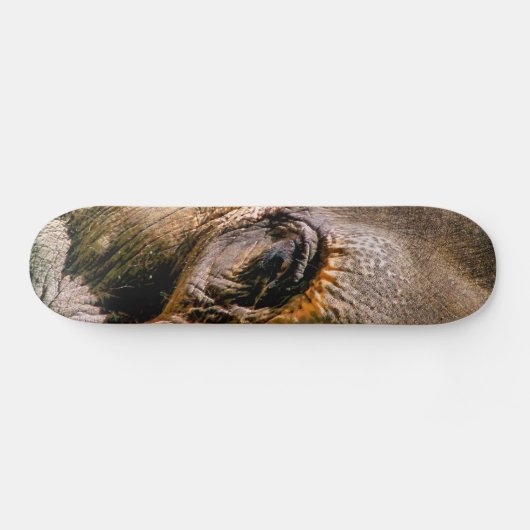 ELEPHANT SKATEBOARD (Horizontaal)