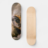 ELEPHANT SKATEBOARD (Voorkant)