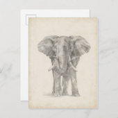 Elephant Sketch Briefkaart (Voorkant / Achterkant)