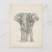 Elephant Sketch Briefkaart (Voorkant)