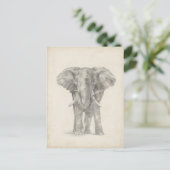 Elephant Sketch Briefkaart (Staand voorkant)