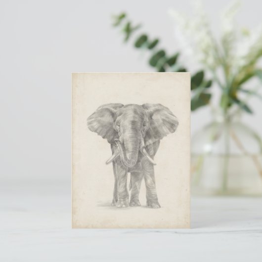 Elephant Sketch Briefkaart (Staand voorkant)