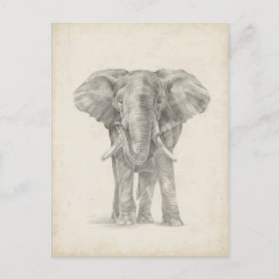 Elephant Sketch Briefkaart