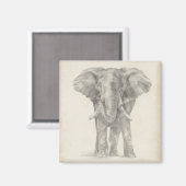 Elephant Sketch Magneet (Voorkant / Achterkant)