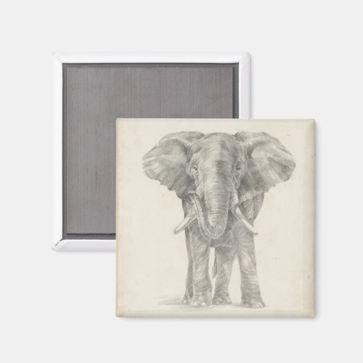 Elephant Sketch Magneet (Voorkant / Achterkant)