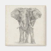 Elephant Sketch Magneet (Voorkant)