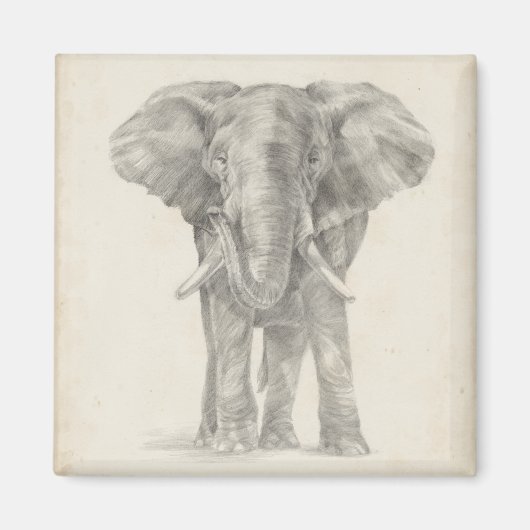 Elephant Sketch Magneet (Voorkant)