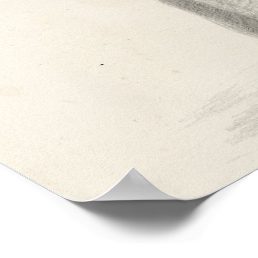 Elephant Sketch Poster (Hoek)