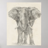 Elephant Sketch Poster (Voorkant)