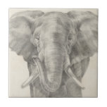 Elephant Sketch Tegeltje<br><div class="desc">Deze schets bevat een Afrikaanse olifant | Ethan Harper. Afbeelding-ID: 116578Z</div>