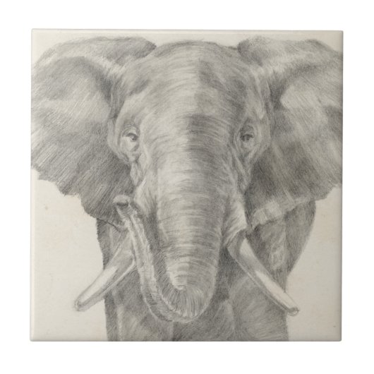 Elephant Sketch Tegeltje (Voorkant)