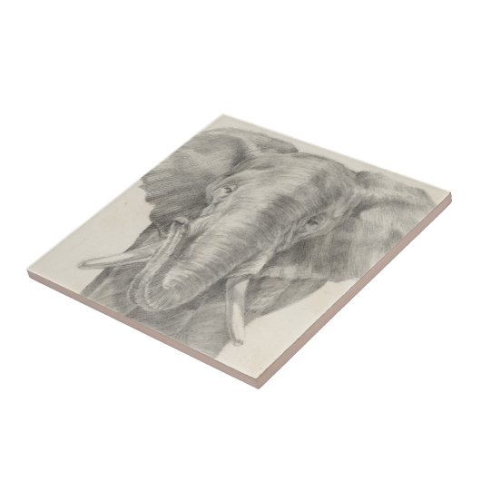 Elephant Sketch Tegeltje (Zijkant)