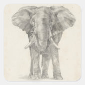 Elephant Sketch Vierkante Sticker (Voorkant)