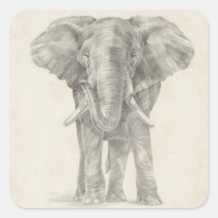 Elephant Sketch Vierkante Sticker