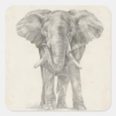 Elephant Sketch Vierkante Sticker (Voorkant)