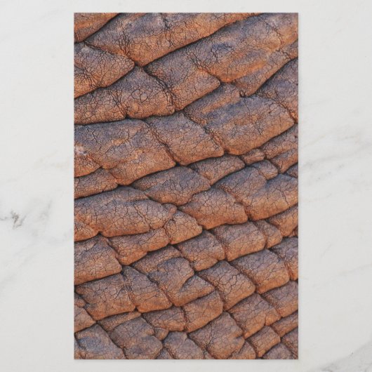 Elephant Skin Briefpapier (Voorkant)