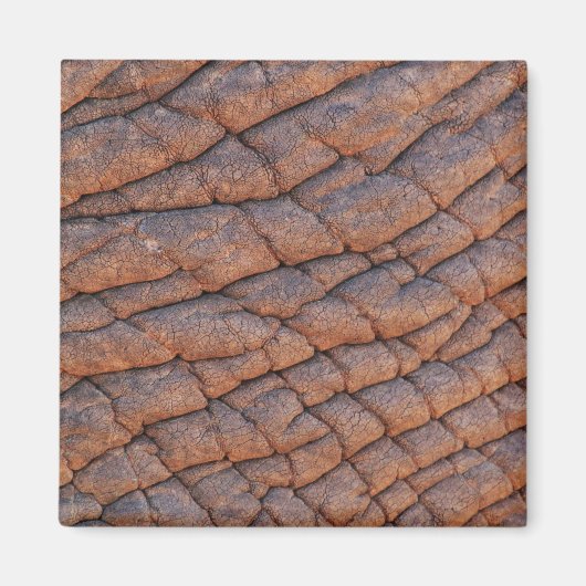 Elephant Skin Magneet (Voorkant)