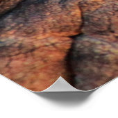 Elephant skin oliephant poster (Hoek)