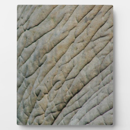 Elephant Skin op maat van Jouw naam Fotoplaat (Voorkant)