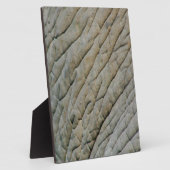 Elephant Skin op maat van Jouw naam Fotoplaat (Zijkant)