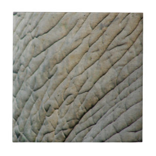 Elephant Skin op maat van Jouw naam Tegeltje