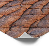 Elephant Skin Poster (Hoek)