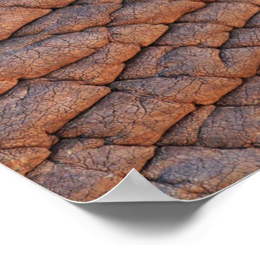 Elephant Skin Poster (Hoek)