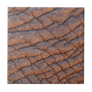 Elephant Skin Tegeltje