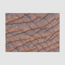 Elephant Skin Tissuepapier