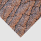 Elephant Skin Tissuepapier (Detail)
