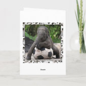 Elephant Soccer Kaart (Achterkant)